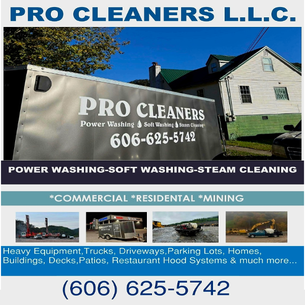 Pro cleaners 