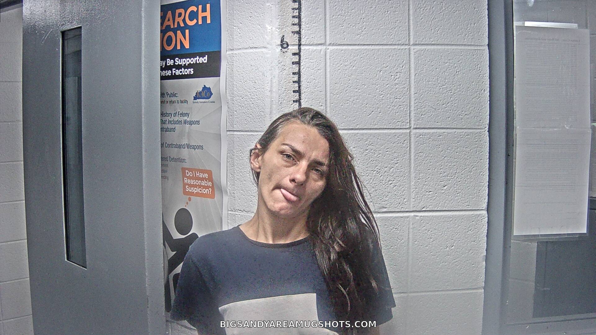 Nicki Annajean Gamel arrest photo