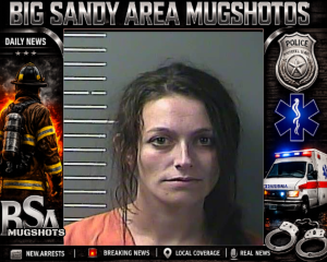 HARLEY DAVIS FERGUSON booking record