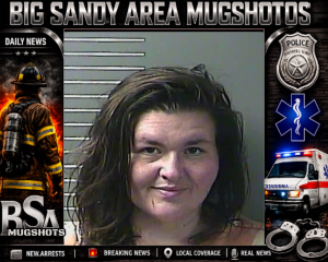 SIDNEY NICOLE WEBB booking record