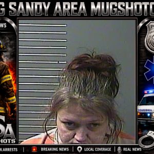 ANGELA L PATTON booking record