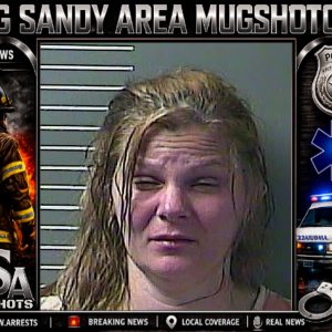 ASHLEY RENEE POWERS booking record