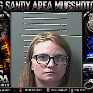 BRITTANY DANIELLE GILMORE booking record