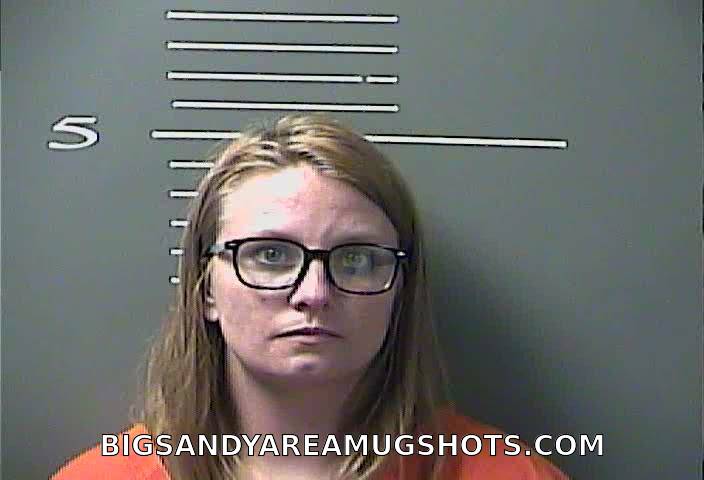Booking photo