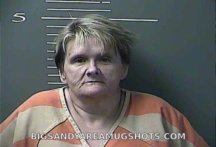 Booking photo