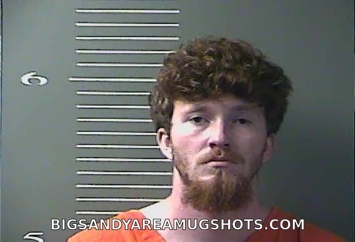 Booking photo