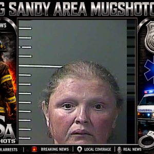 DESIREE W ADAMS booking record