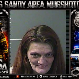 HEATHER MCKINNEY booking record