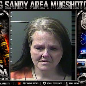 JENNIFER J SALYER booking record