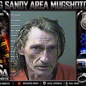 JOHNNY D SKAGGS booking record
