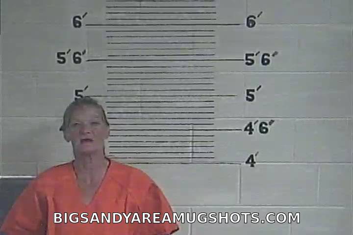 Booking photo