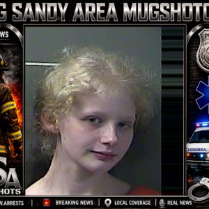 KAYLEE MARIE WOLFE booking record
