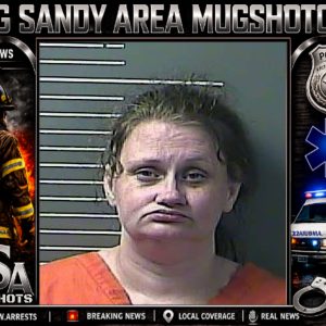 LAVONNA LYNN COLLINS booking record