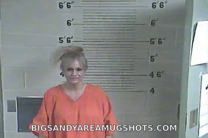 Booking photo