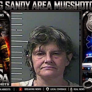 MARY E DAMRON booking record
