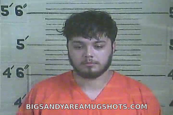 Booking photo