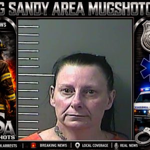 PAMELA JOSEPHINE CAMACHO booking record