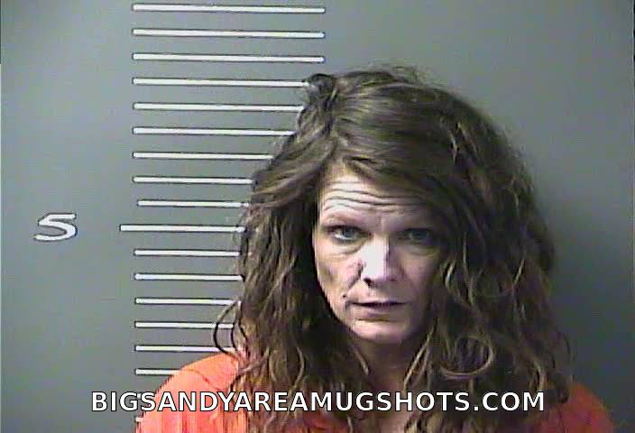 Booking photo