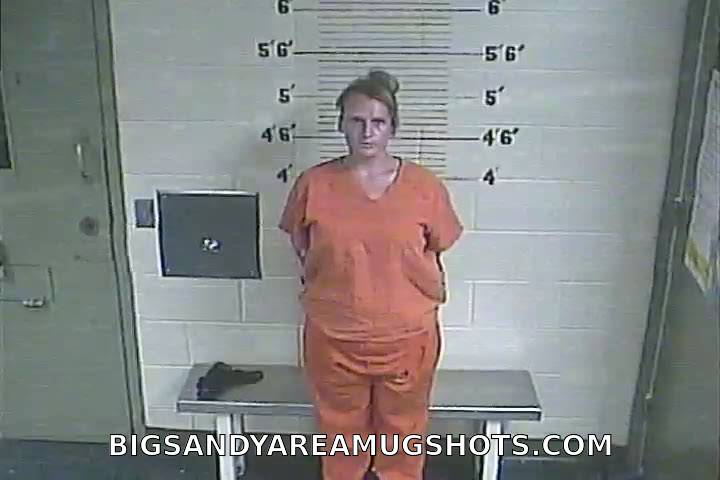 Booking photo