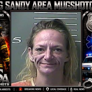 TEAIRA LEIGH MOLLETTE booking record