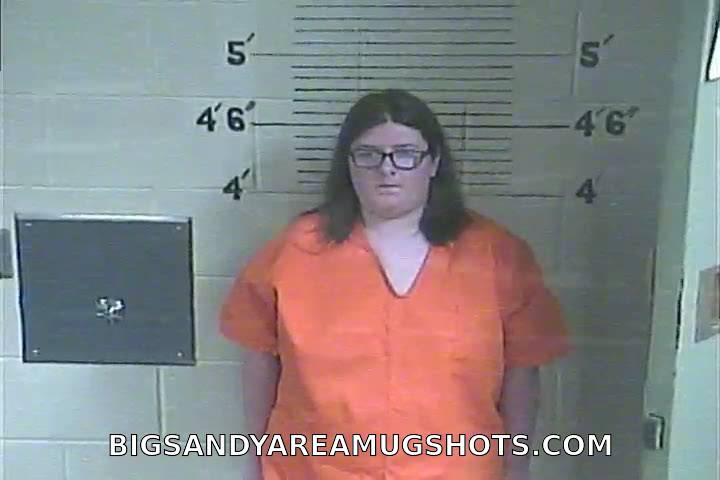 Booking photo