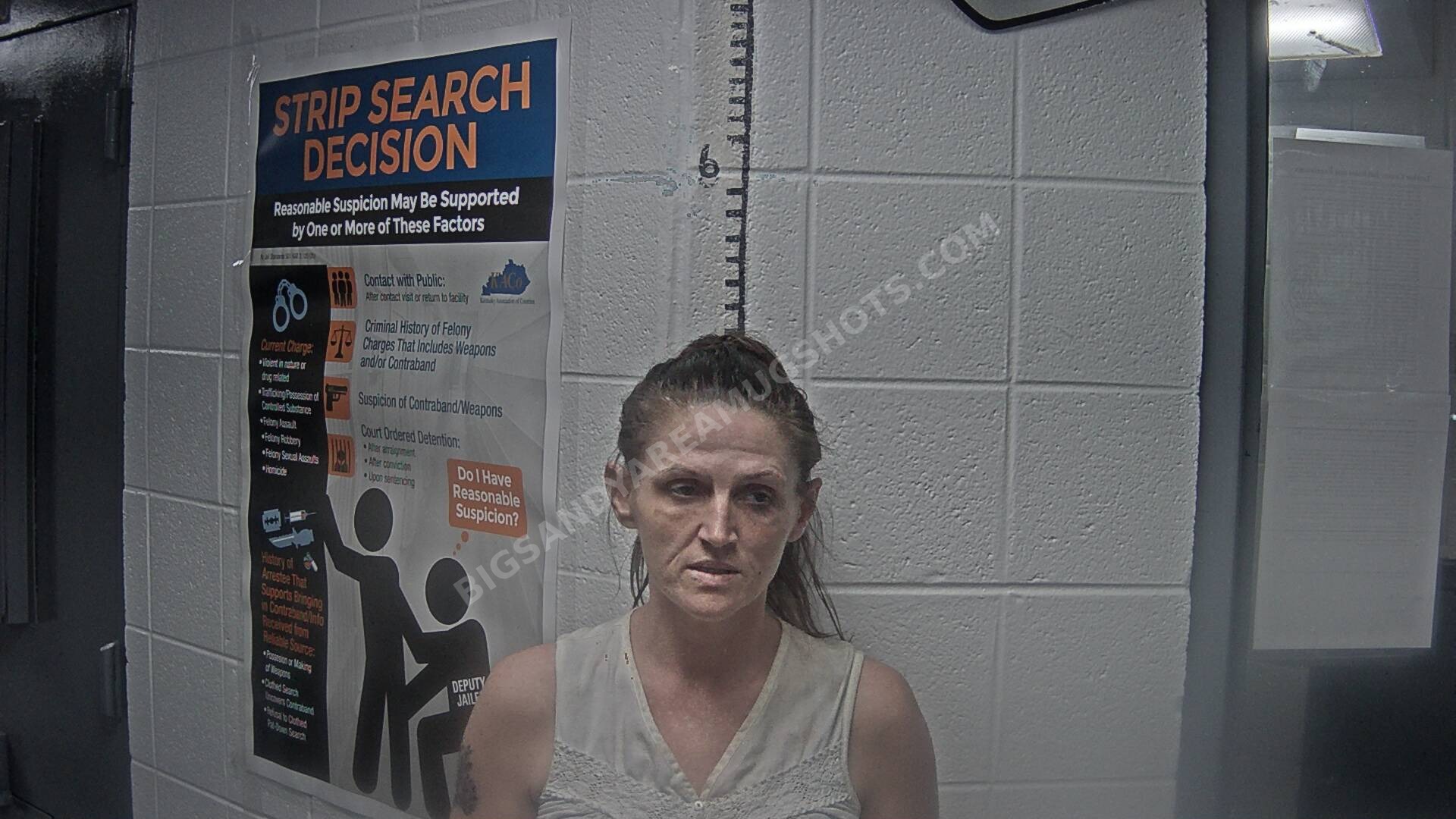 Jennifer Popp arrest photo