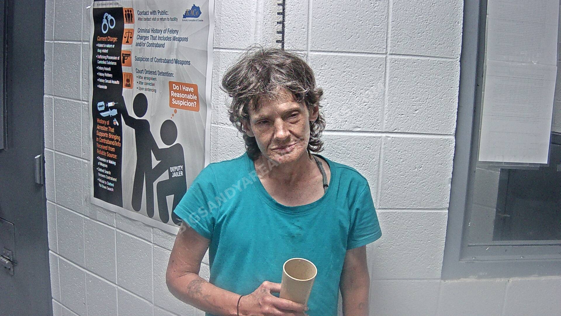 Verdie Yevonne Spangler arrest photo