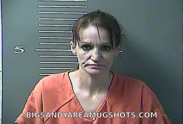 Booking photo