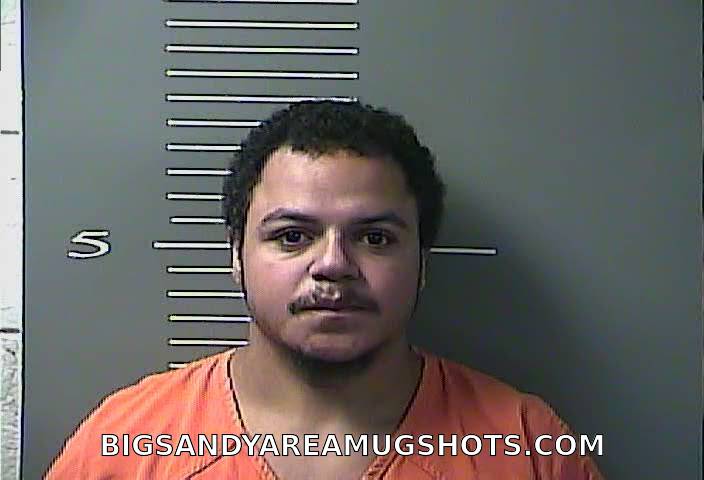 Booking photo