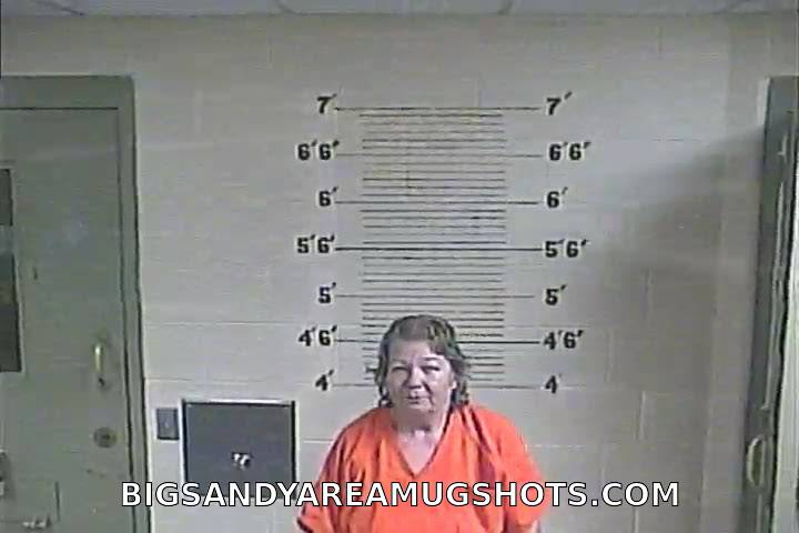 Booking photo