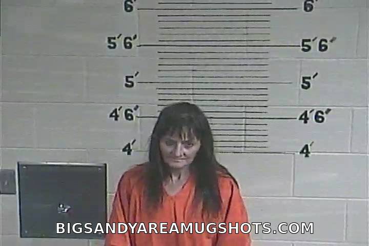 Booking photo