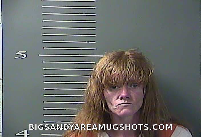 Booking photo