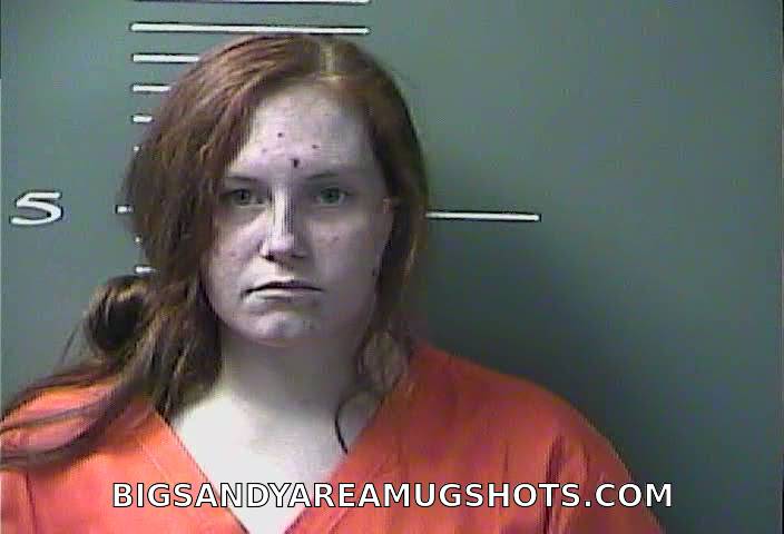 Booking photo