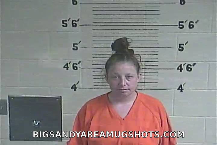 Booking photo