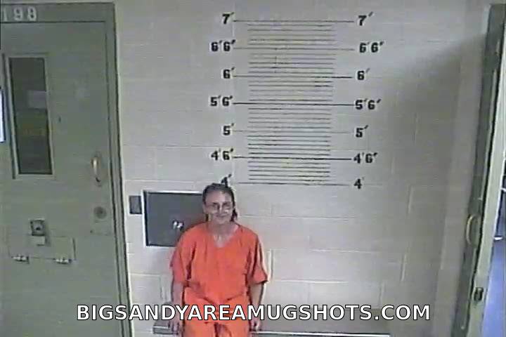 Booking photo