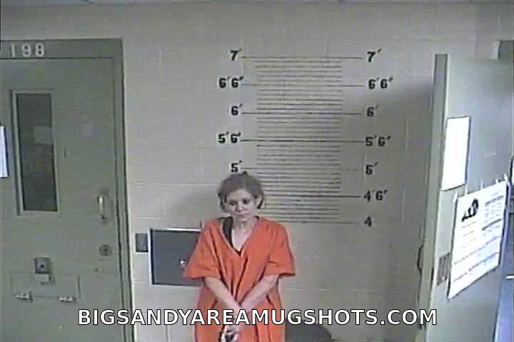 Booking photo