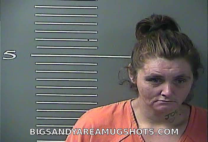 Booking photo