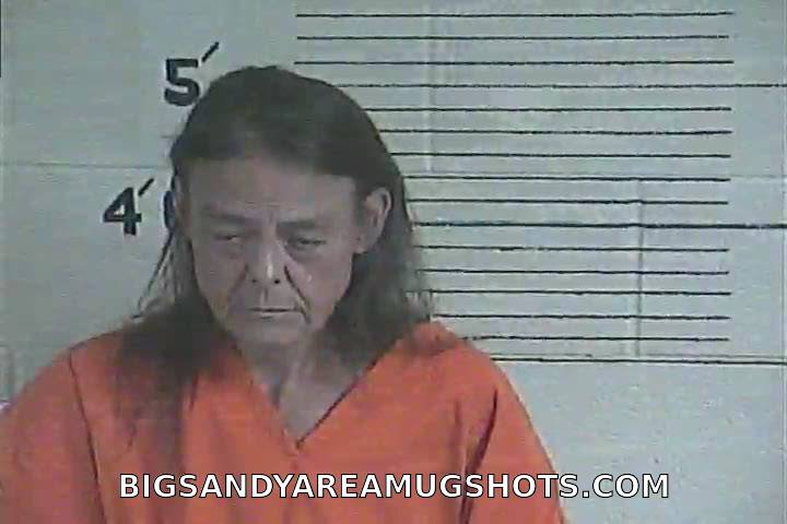 Booking photo