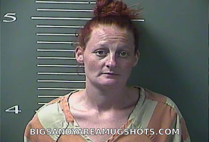 Booking photo