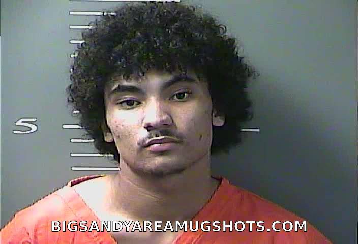 Booking photo