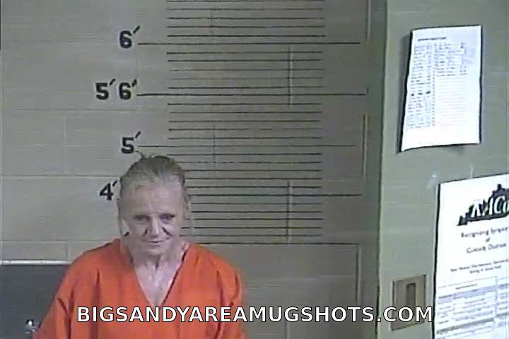Booking photo