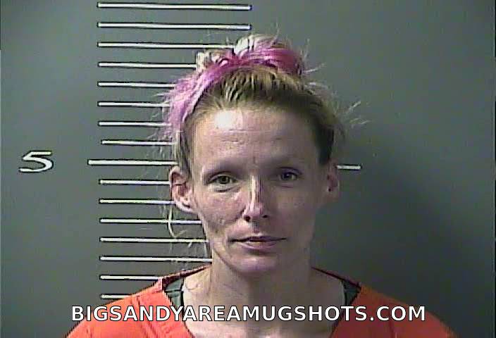 Booking photo