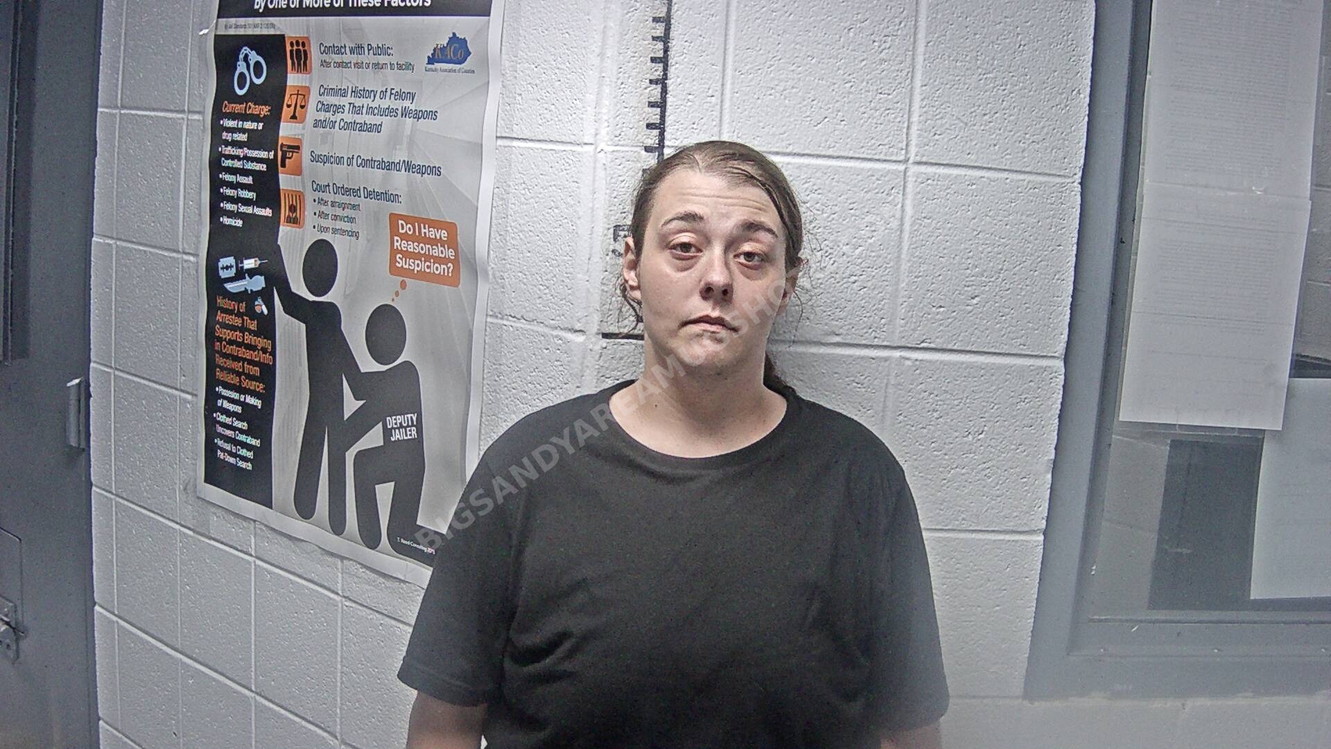 Breanna L Mullins arrest photo