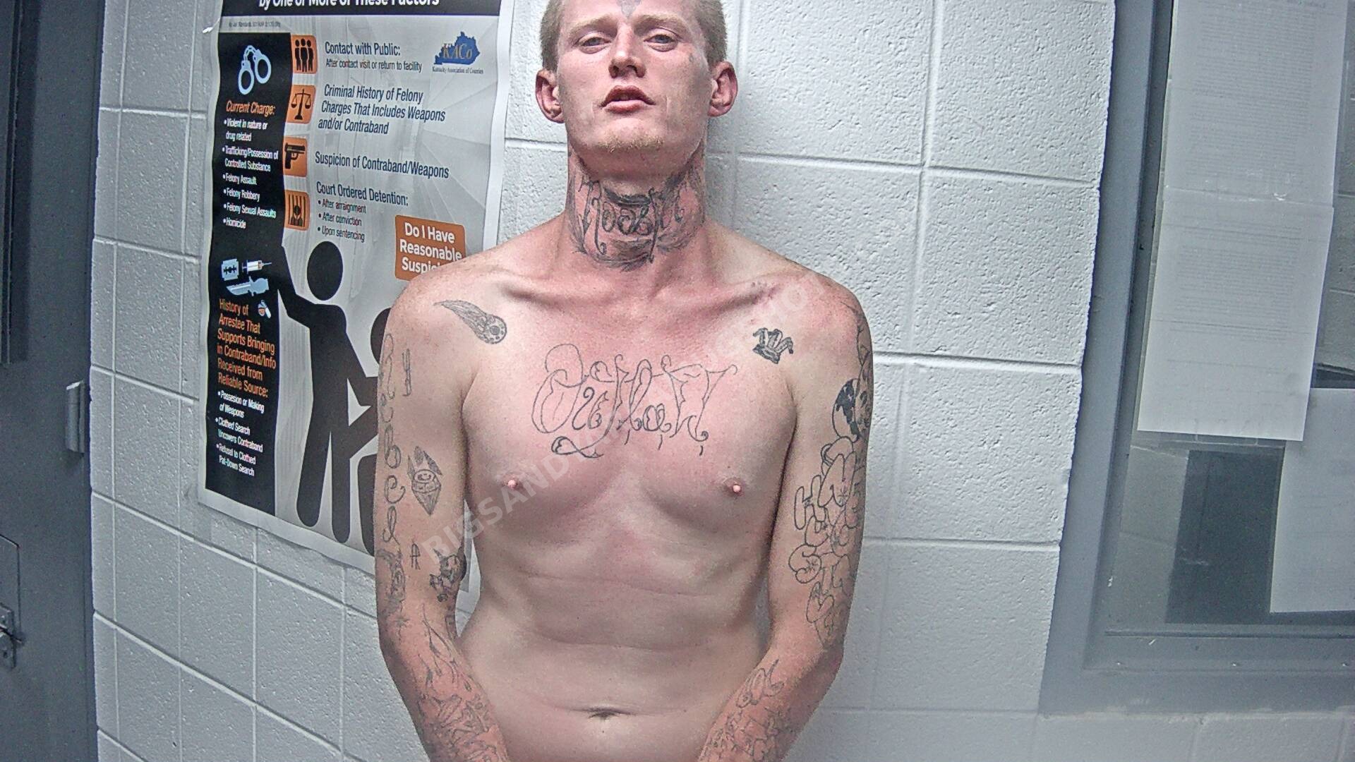 Lewis Earl Collins arrest photo