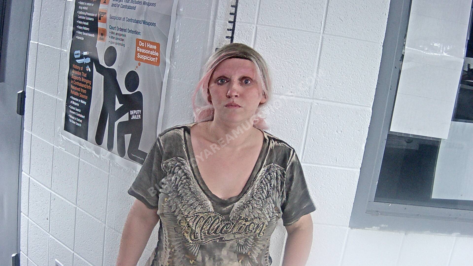 Kristina Marie Warsow arrest photo
