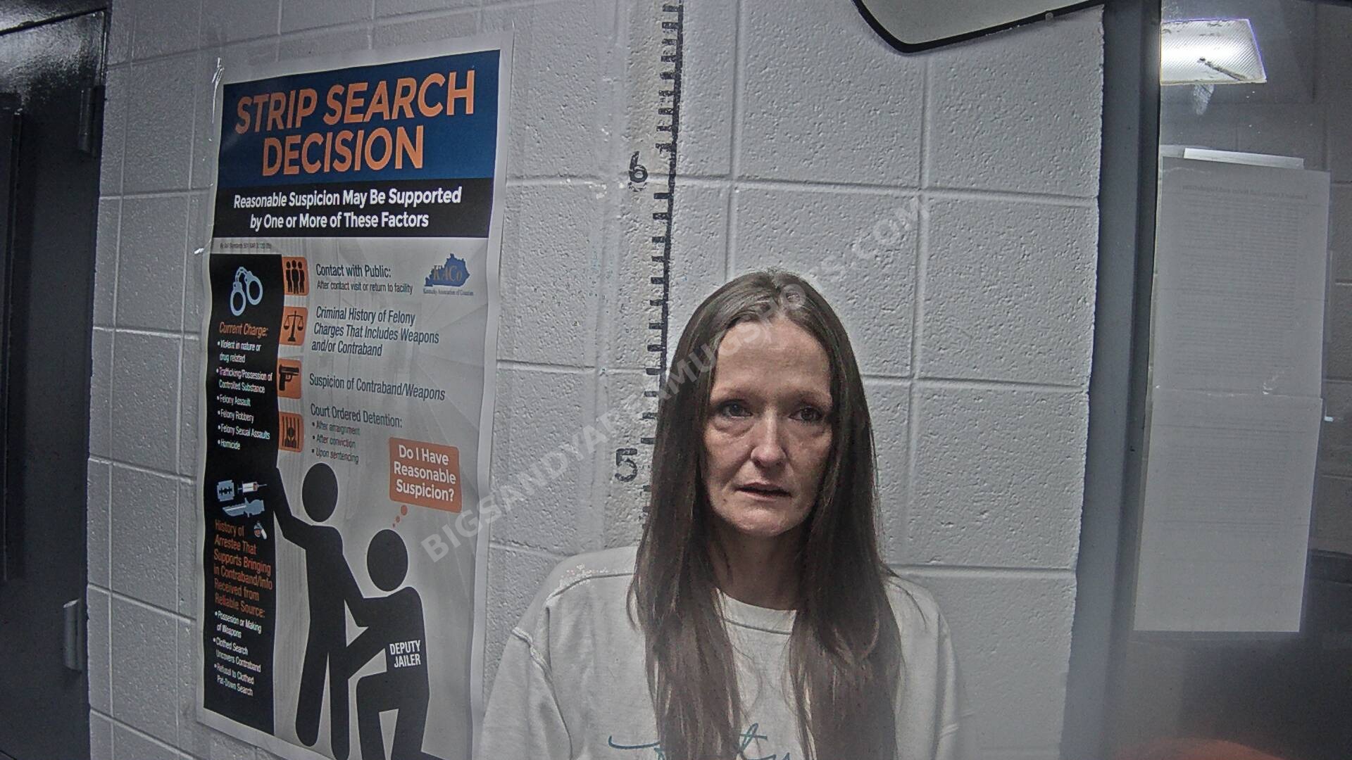 Sara M Tucker arrest photo
