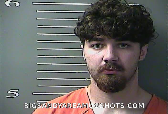 Booking photo