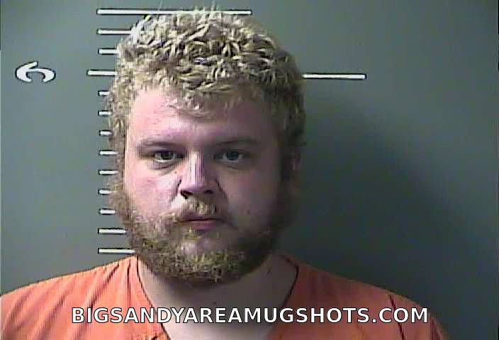 Booking photo