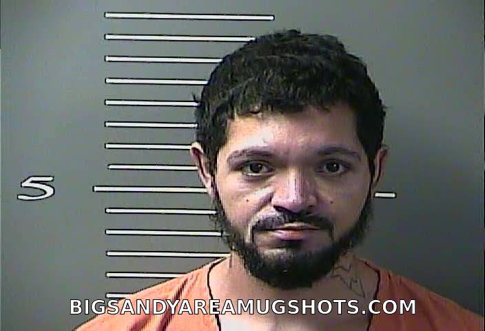 Booking photo