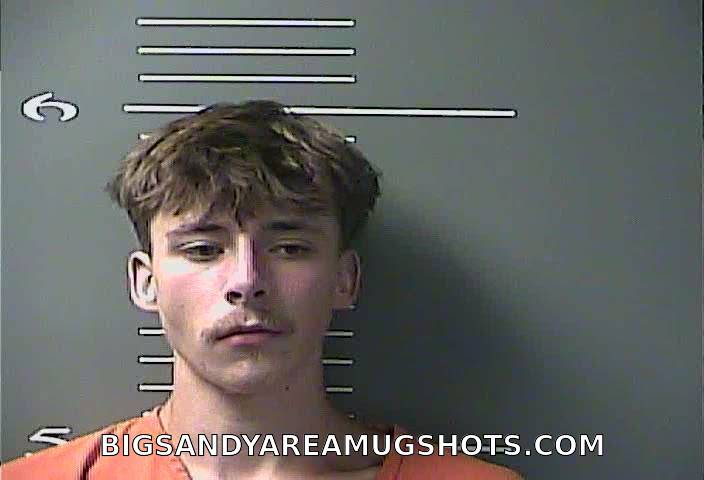 Booking photo